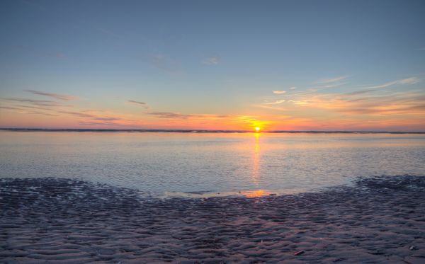 ljus,sommar,Färg,natur,vacker,marinmålning