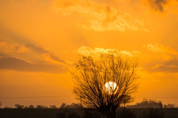 sunlight, sunset, sky, field, sunrise, landscape