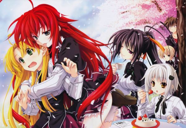 illustrasjon,anime,kunstverk,Gremory Rias,High School DxD,mangaka