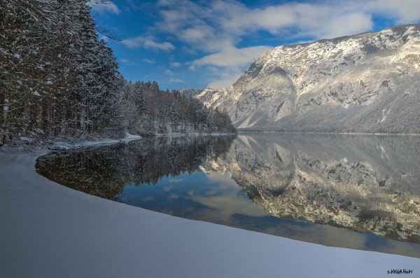 copaci,peisaj,pădure,lac,apă,sportiv