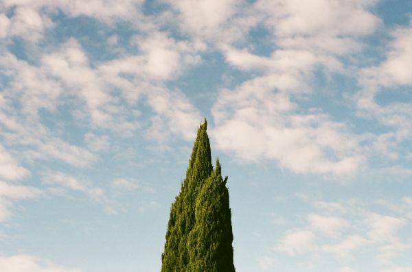 skyer,natur,film korn,fotografering,himmel