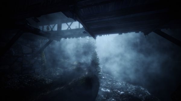 Alan Wake,computerspil,nat