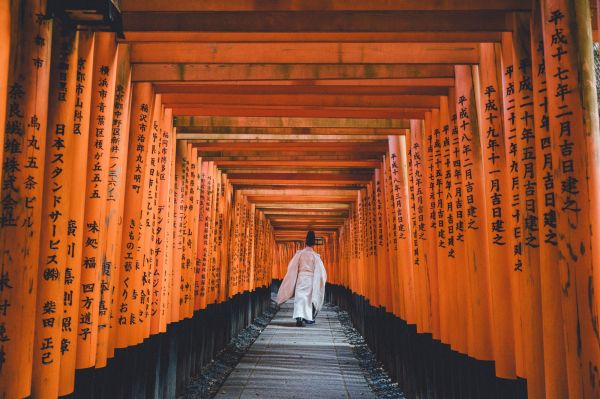 日本,鳥居,赤