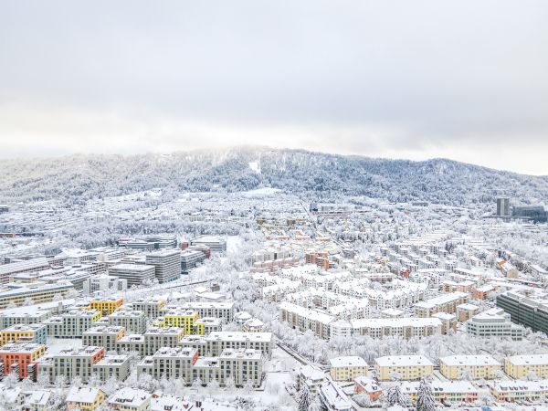 Luftaufnahme,Winter,Zürich,städtisch