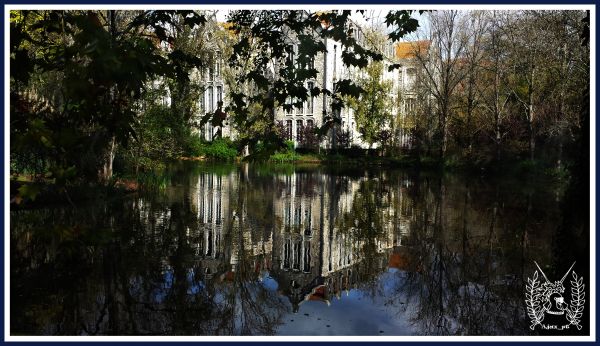 parque,Samsung,Reflexiones,Pabellones,Gti9505