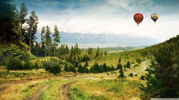 vehículo,globos aerostáticos,Valle,meseta,pradera,prado