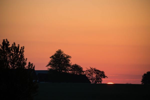 landskab,solnedgang,himmel,solopgang,sollys,silhuet