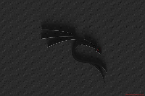 hitam,satu warna,logo,Linux,Kali Linux NetHunter,Kali Linux