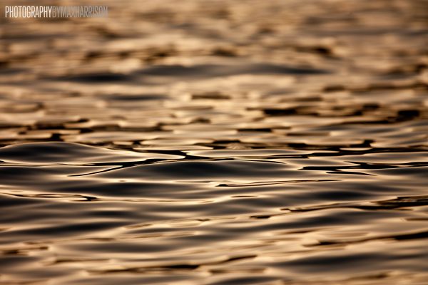 fotografie, Fotoaparát, moře, jezero, voda, Krásná