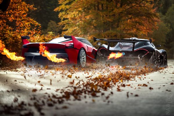 road,trees,auto,UK,autumn,red