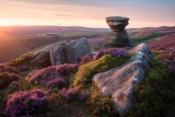 sunset,UK,landscape,rocks,nature,flowers