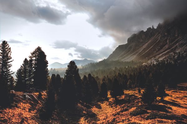 cielo,alberi,montagne,paesaggio,nuvole,fotografia