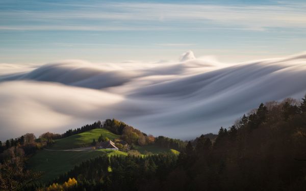 slunečnímu záření,les,krajina,podzim,západ slunce,kopec