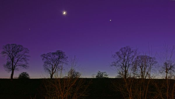 des arbres,Lune,nuit,Zeiss,étoiles,paysage