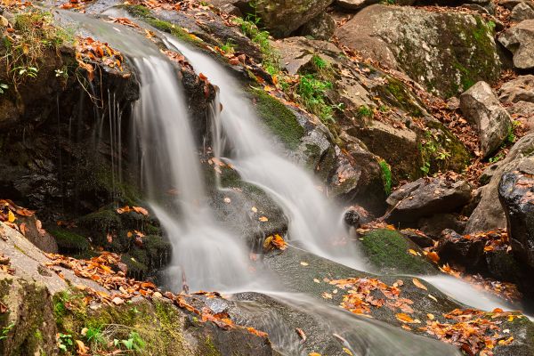 reizen,rood,park,herfst,oranje,Verenigde Staten van Amerika