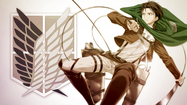 สาวอะนิเมะ,อะนิเมะ,Shingeki no Kyojin,เลวีแอคเคอร์แมน