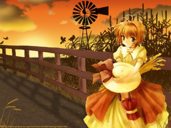 Kart Captor Sakura,Kinomoto Sakura,kız,şapka,Yel değirmeni