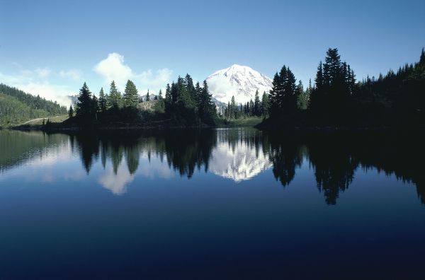 des arbres,paysage,Lac,eau,la nature,réflexion