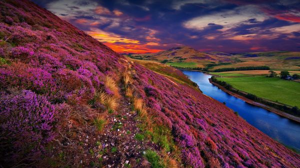 natura,paesaggio,nuvole,tramonto,fiori,fiume