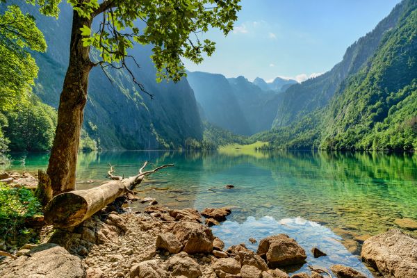 natur,landskap,bergen,Obersee,sjö,Tyskland