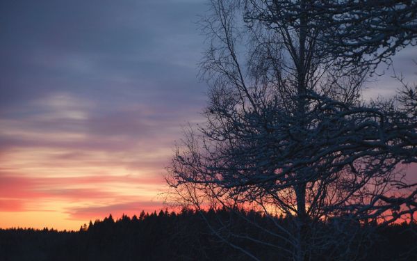 naturaleza,paisaje,nieve,puesta de sol