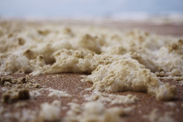 cibo,sabbia,spiaggia,mare del Nord,colazione,dolce