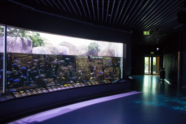 akvarium,København,k penhamn,interiørdesign,lobby,denbl planet