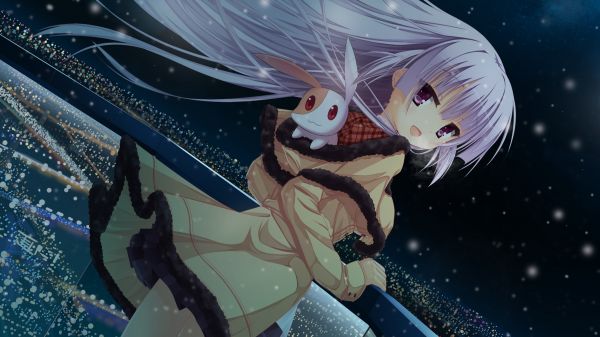 Anime girls, Illüstrasyon, gece, uzun saç, Anime, kar