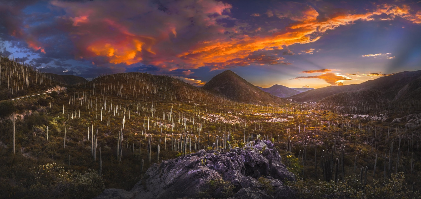 luce del sole, paesaggio, tramonto, natura, cielo, nuvole, Alba, colline, sera, mattina, deserto, Messico, arbusti, valle, cactus, natura selvaggia, crepuscolo, altopiano, cresta, nube, autunno, montagna, alba, morfologie montane, caratteristica geografica, catena montuosa