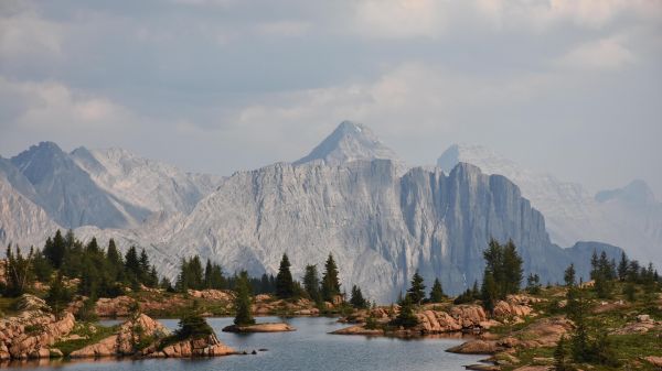 nube,montagna,acqua,cielo,pianta,albero