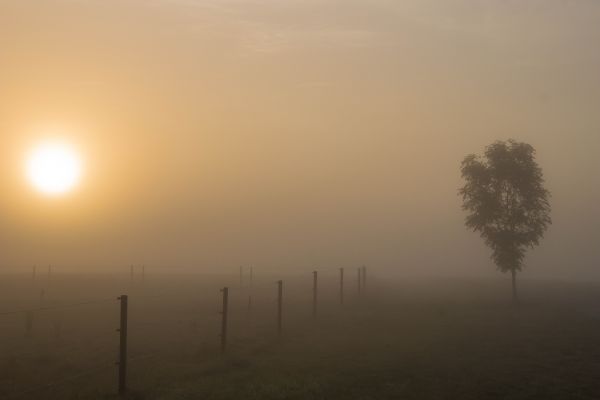 światło słoneczne,krajobraz,niebo,pole,wschód słońca,spokojna