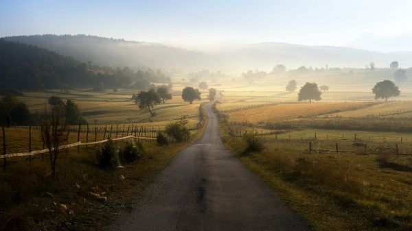 nature,landscape,trees,road,Bosnia,morning