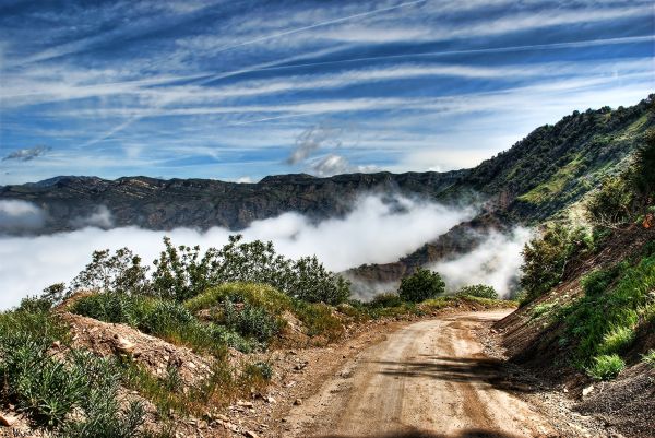 空,雲,探検する,コンドル,道路,341