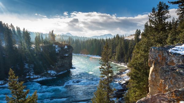 paysage, forêt, Lac, eau, Roche, des arbres