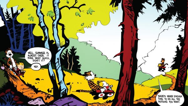 1920x1080 piksel,Calvin ve Hobbes,renkli,Felsefe