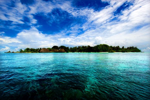 風景,海,湾,水,自然,海岸