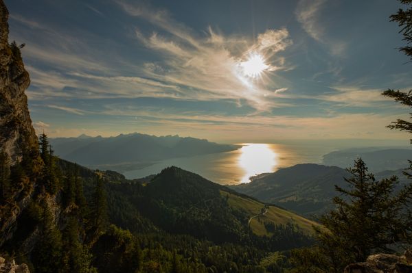 写真,屋外,風景,木,森林,崖