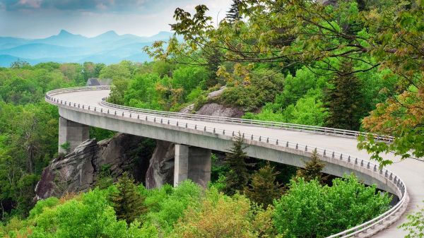 strada,turno,legna,ponte,vegetazione,rocce