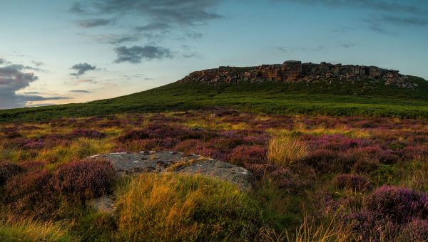 national,nature,3520x2000 px,district,Kingdom,Lavandula