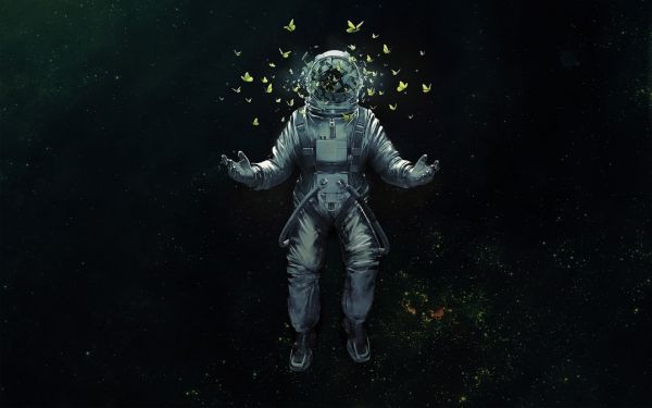 1920x1200 px,astronaut,fi,butterflies,butterfly,NASA