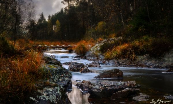 l'automne,la nature,eau,Norvège,Norge,cascade