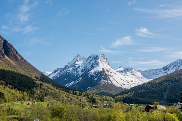 mountains,landscape,snow,forest,nature