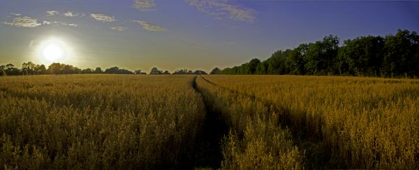 auringonvalo, maisema, auringonlasku, mäki, luonto, heijastus