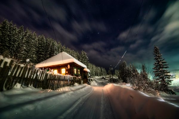 himmel,Sky,snø,anlegg,natur,tre