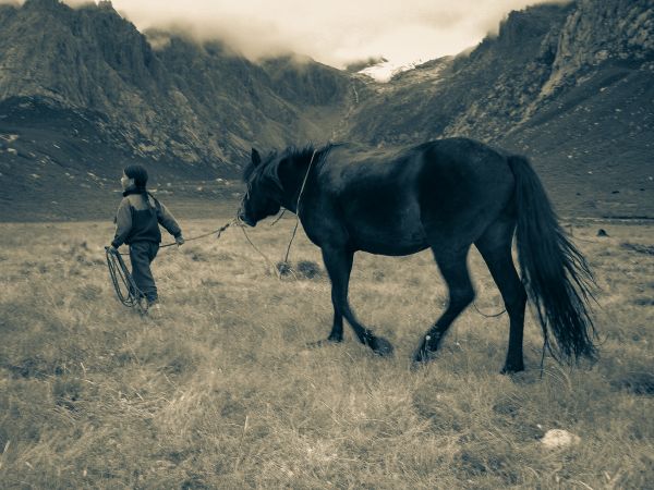 viaţă,China,oraș,excursie,voiaj,alb-negru