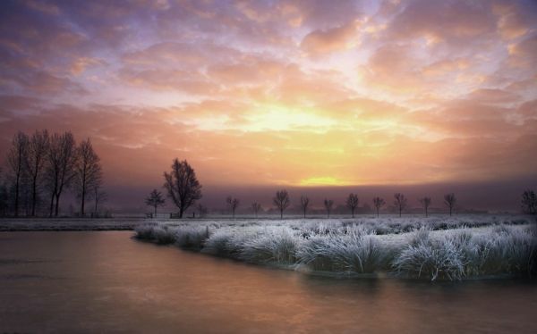 zonlicht,bomen,landschap,natuur,reflectie,zonsondergang