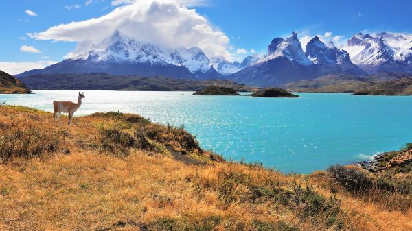 Torres del Paine,Torres del Paine nationalpark,Chile,bjerge,skyer,sø