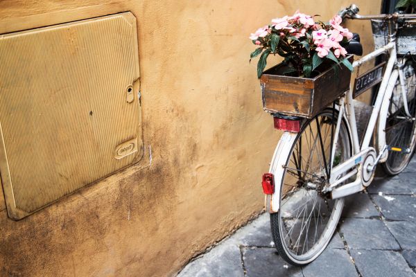 フラワーズ,自転車,車両,木材,バスケット,春