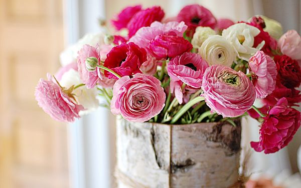 1920x1200 px, bokeh, bouquets, bowl, color, flowers