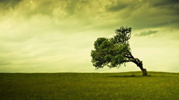 luz de sol,paisaje,colina,naturaleza,césped,cielo